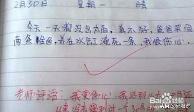 我的女儿因为我撕了她的笔记本绝食了怎么办？