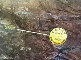 沈树忠简介,沈树忠浙江讲座