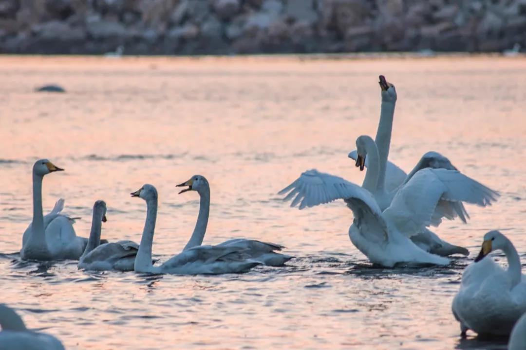 70个经典成语,常用的成语及诗词