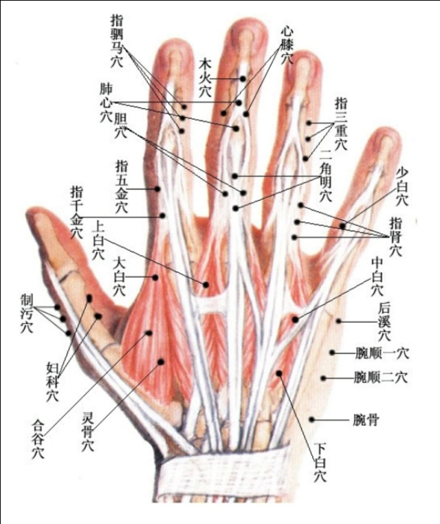 每日一学——学点董穴（1）