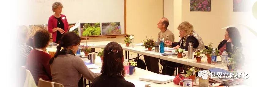 为什么园艺疗法能快速发展,园艺疗法的应用领域