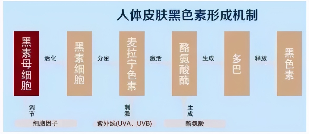 网红卖的美白胶囊有用吗,市面上卖的美白丸真的能美白吗