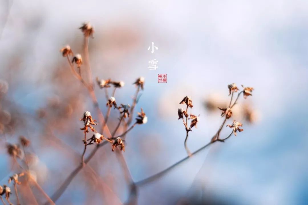 关于小雪的唯美诗句,冬日小雪的诗句