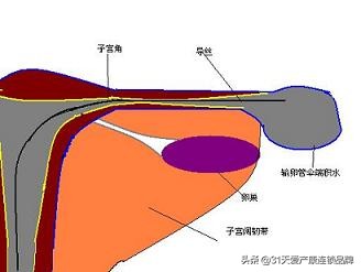女生身体里的这把小伞千万别生病！