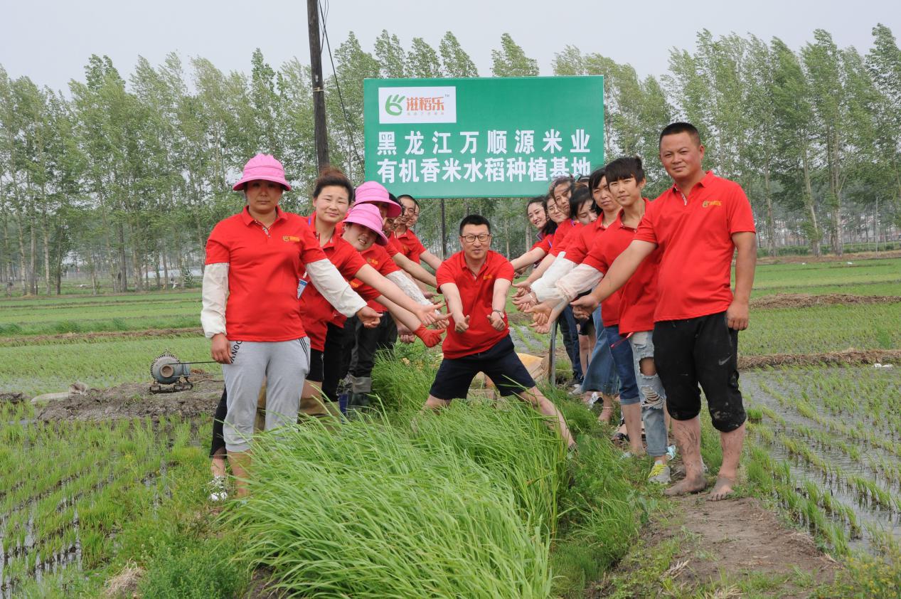 优质东北大米厂家直销,东北正宗大米厂家