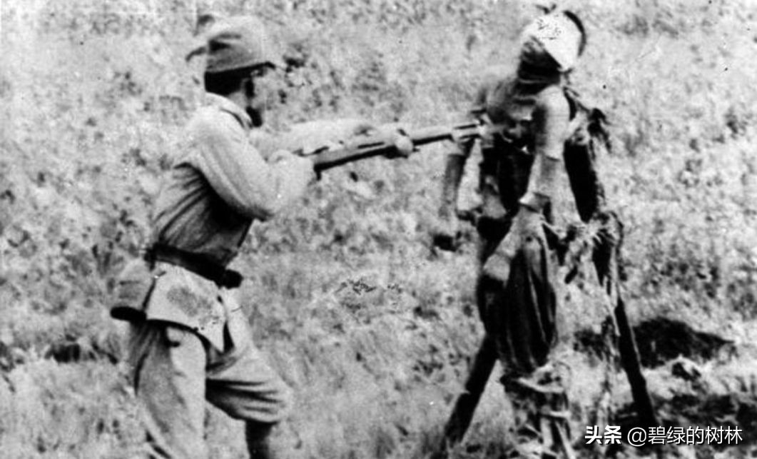 替日军暴行道歉,关于日本在华的暴行有何感想