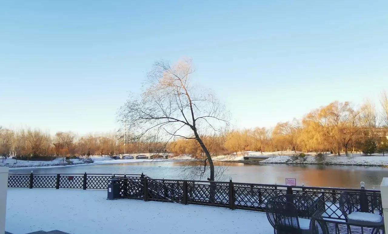 寒冬里的一抹温暖散文,这个冬天有你真温暖散文