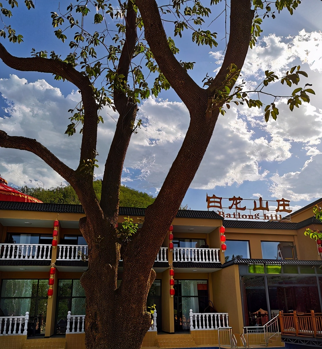 白龙网红酒店,鹤壁上档次酒店