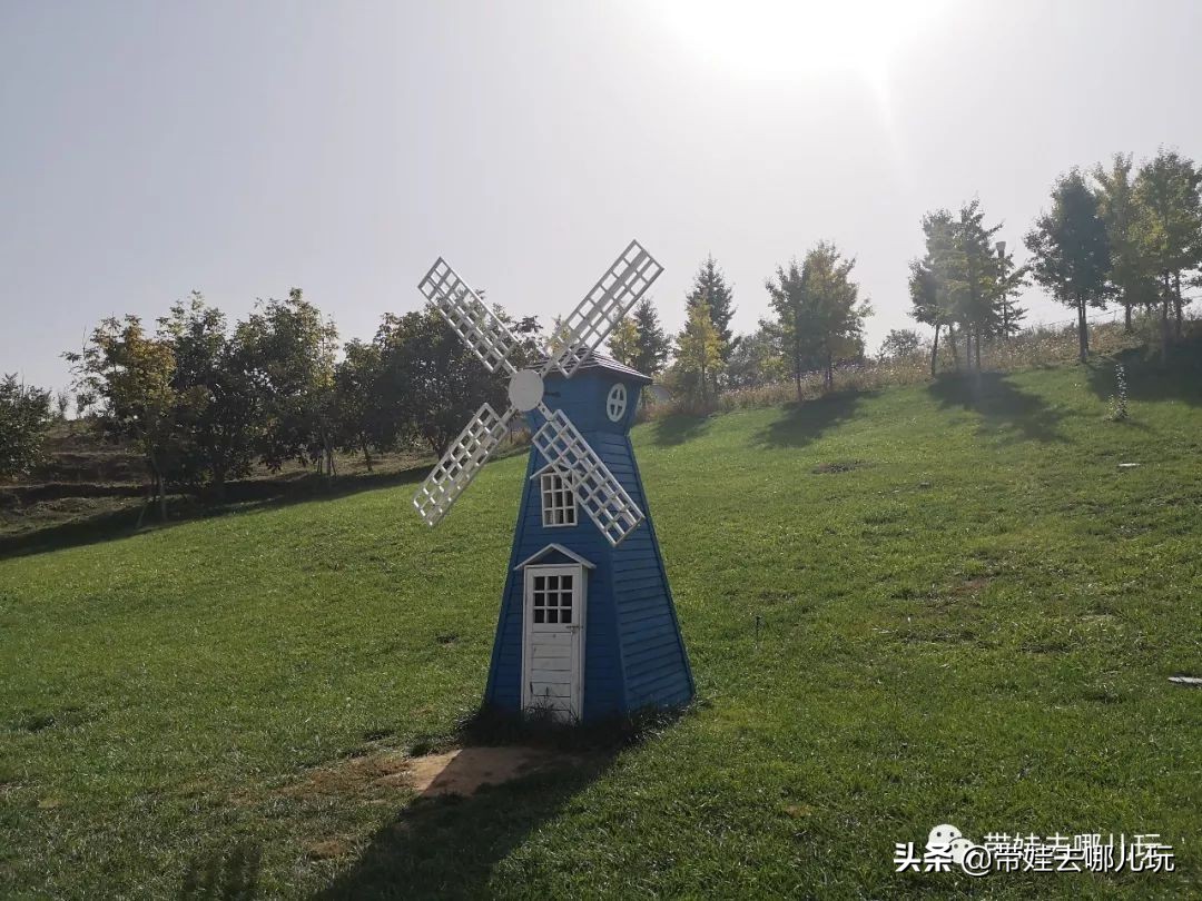 住别墅、滚草坪、躺在床上看电影，密云轻奢营地的花样玩法
