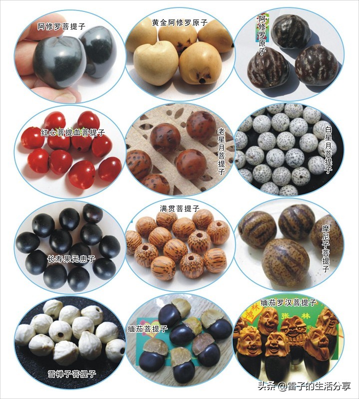 文玩菩提子鉴赏,橄榄核镶嵌菩提怎么样