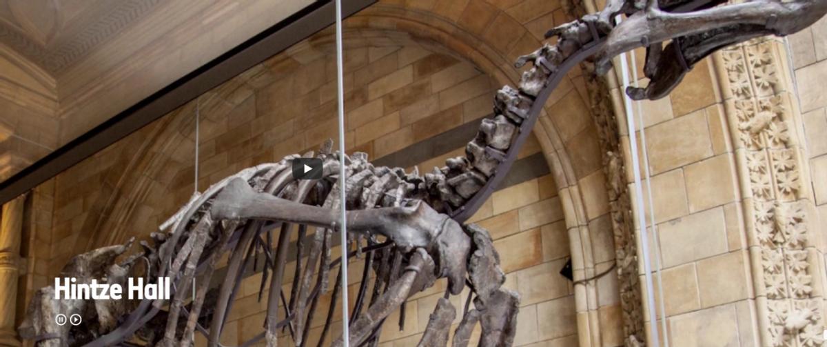 推荐三大学习宝藏网站,十个让人惊艳的宝藏学习网站