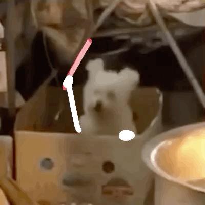 坚持做这五件事你的运气会更好,坚持做这些事就能变美