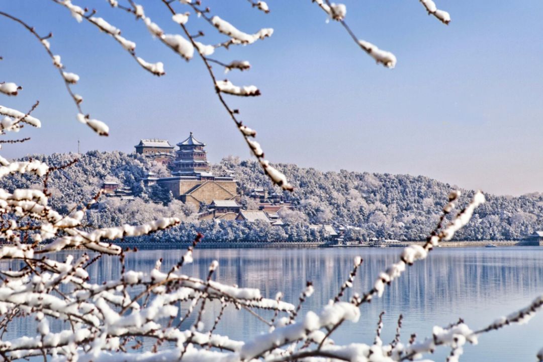 「诗词鉴赏」春雪正纷纷,古诗词里的春雪,纷纷扬扬