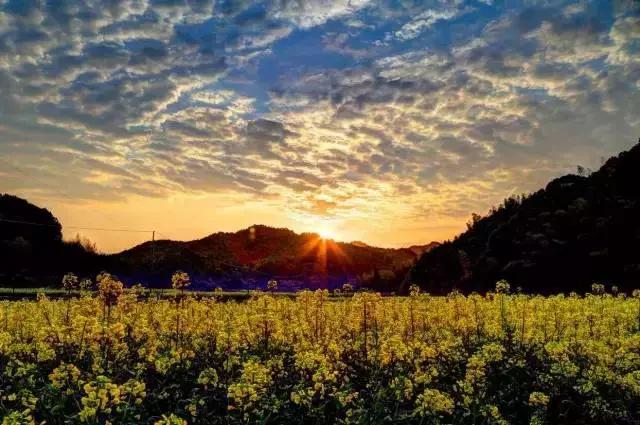 每天被自己帅醒用古文怎么说,帅得睡不着用古诗怎么说