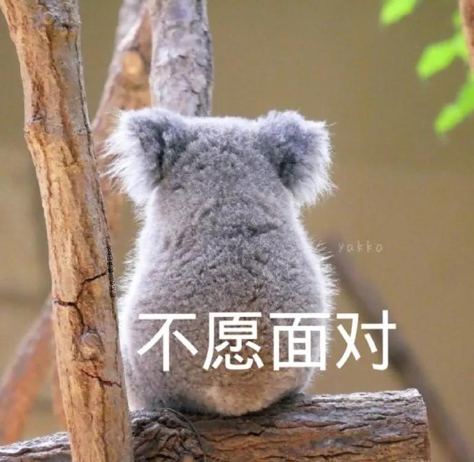 吃瓜沙雕表情包,看瓜群众表情包