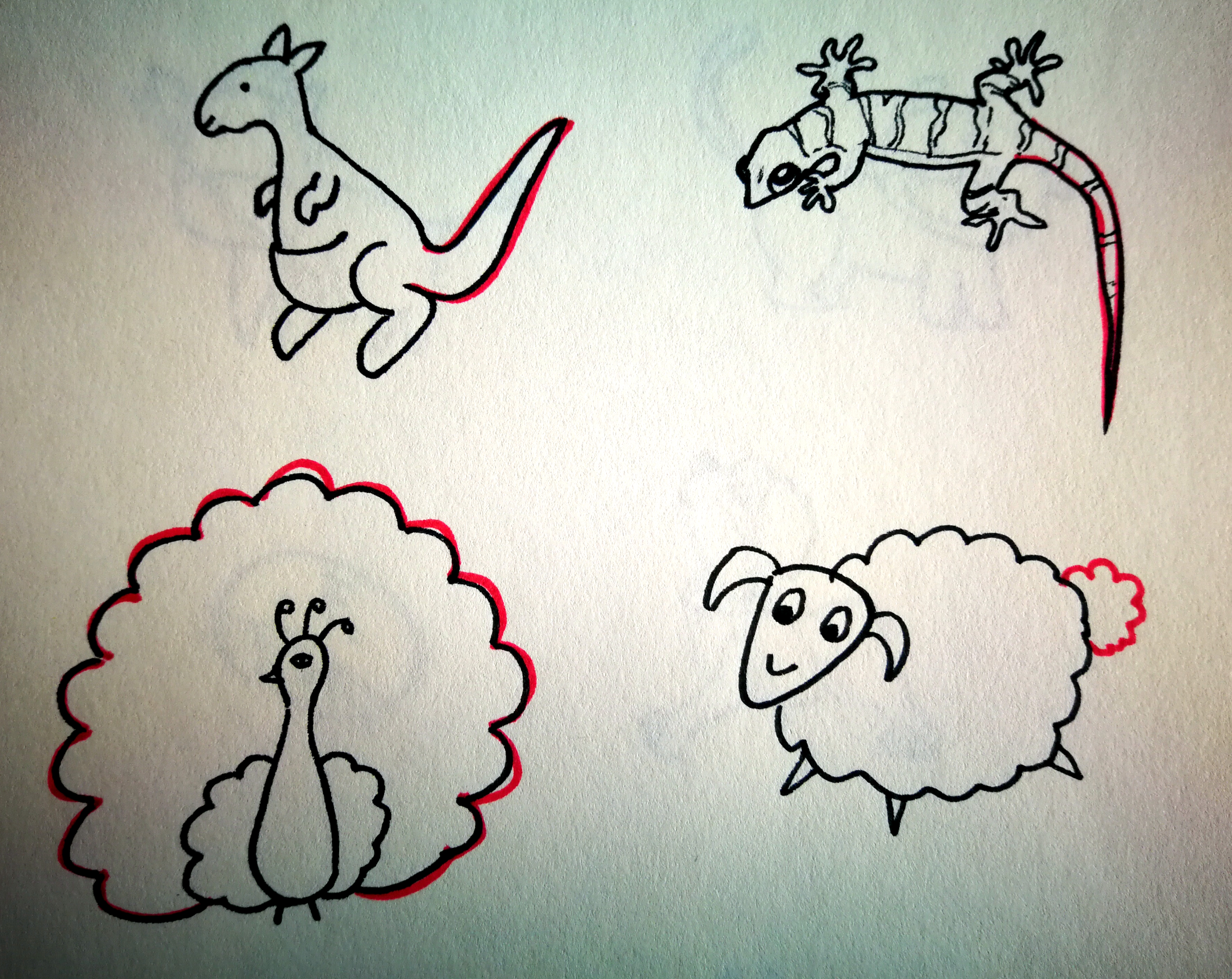 画一画你知道的小动物和本领,说一说画一画小绵羊的尾巴像什么