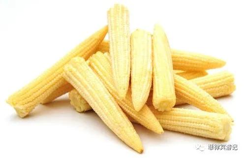 菲律宾青菜价格表,菲律宾蔬菜为什么那么贵