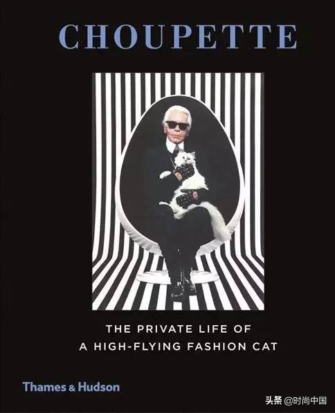 买不起香奈儿包包还可以买什么,买不起系列香奈儿