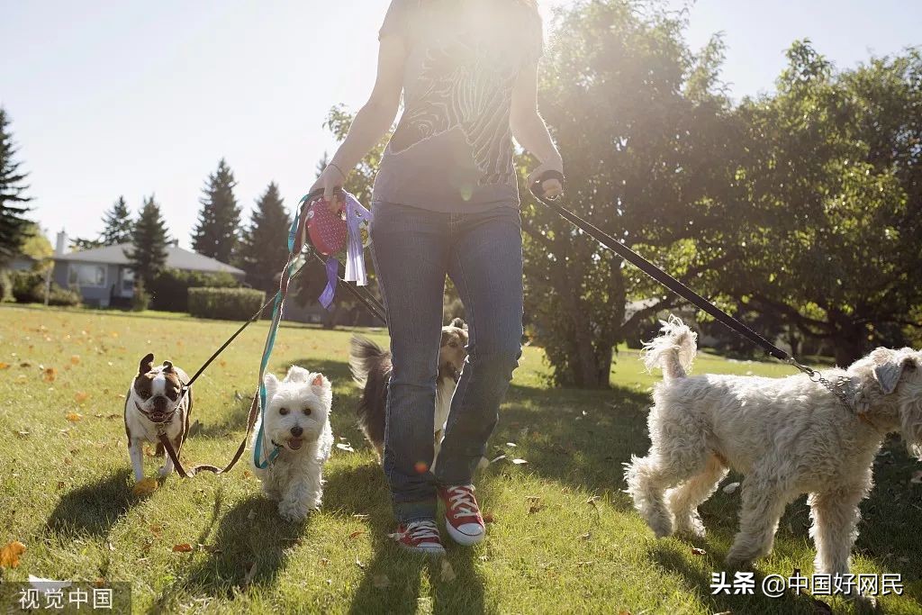 我有一份鸡排，你能帮我“代吃”一下吗？