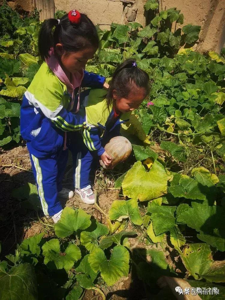 金太阳幼儿园校门,延安市甘泉谢金庄幼儿园