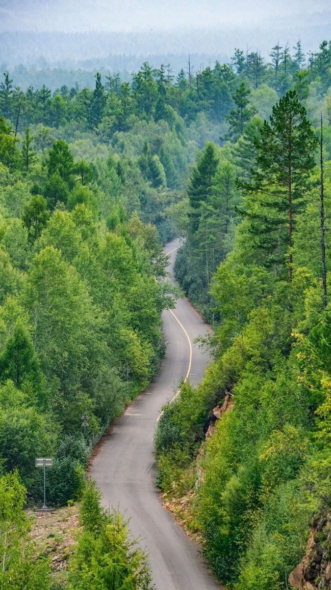 戴口罩的春节,戴口罩的冬天过去了
