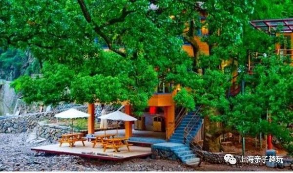 假期给大家送个福利,假期超强福利分享礼包