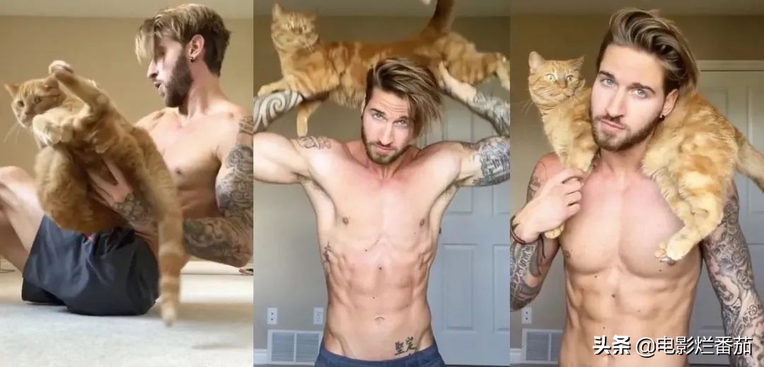 这部温情的撸猫片,让我哭得溃不成军,这是全世界猫*党**的胜利