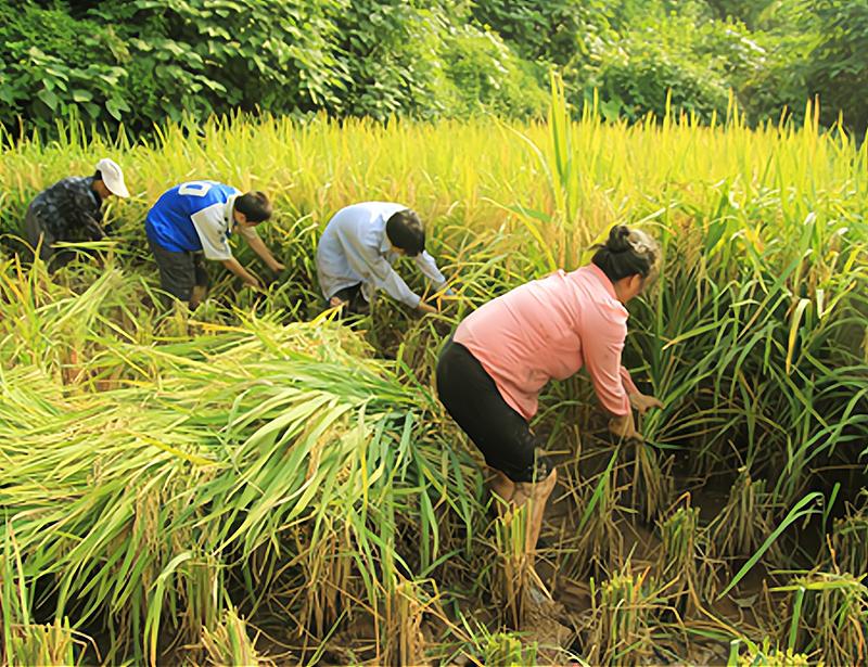 百战老兵有哪些,百战老兵有多厉害