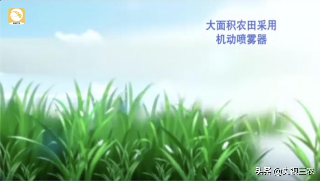 水稻倒伏怎么防止发芽,水稻可以用二甲四氯钠防止倒伏吗