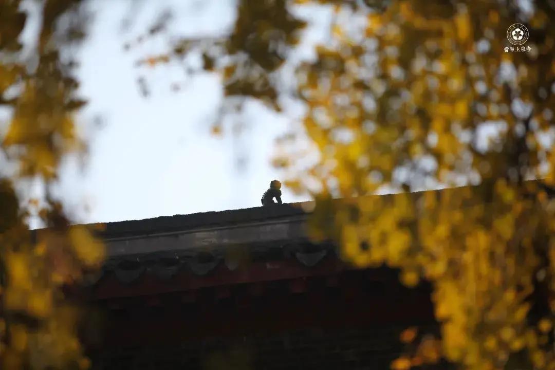 24小时玩转宜昌,半天怎么玩转西湖