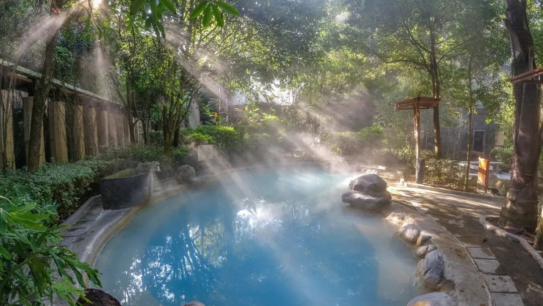 这是一个生机勃勃的地方关于它的故事才刚刚开始