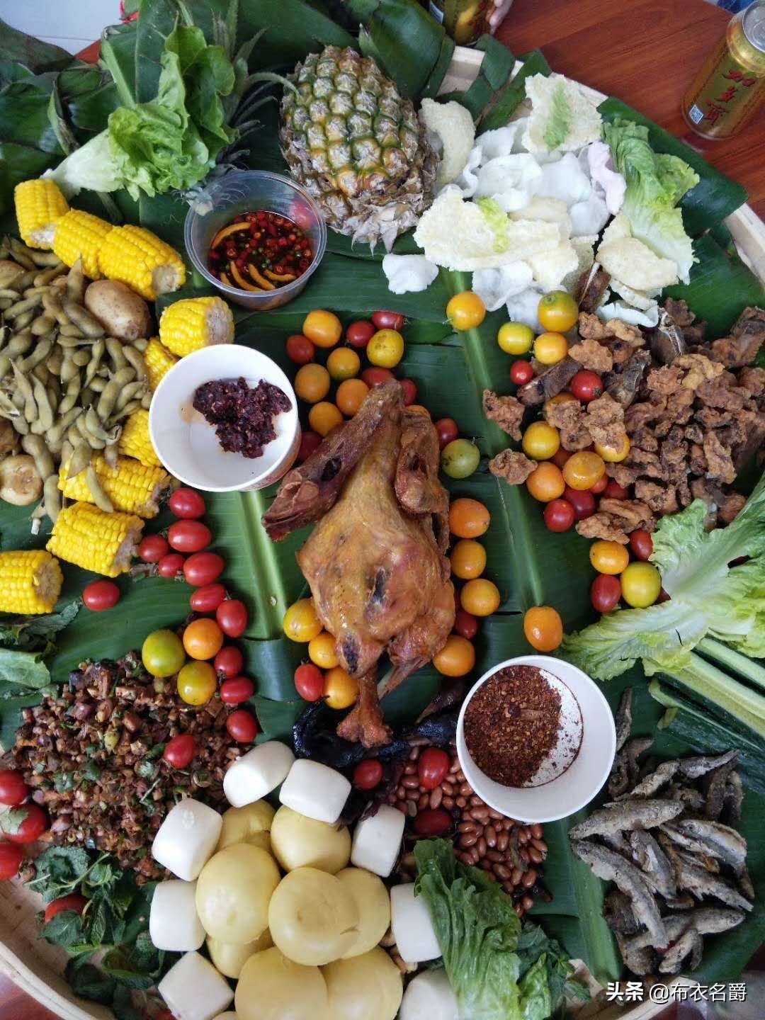 中兽医研究:中医药论治羊四季常见病