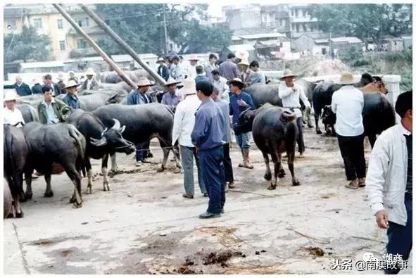 在潮汕,清代的时候,就有“代购”?不愧是百载商埠……