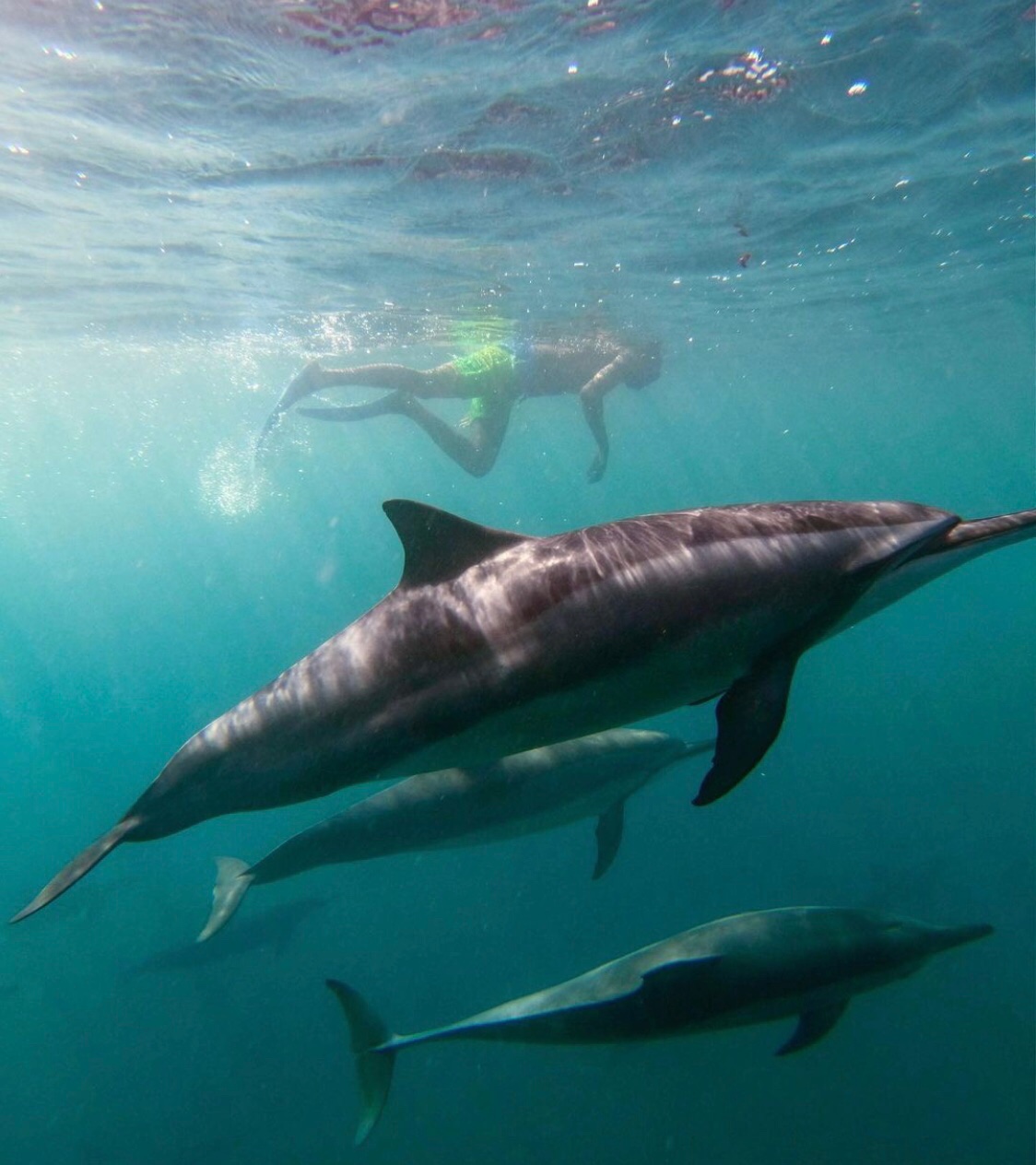 毛里求斯旅游攻略自由行,毛里求斯自由行攻略