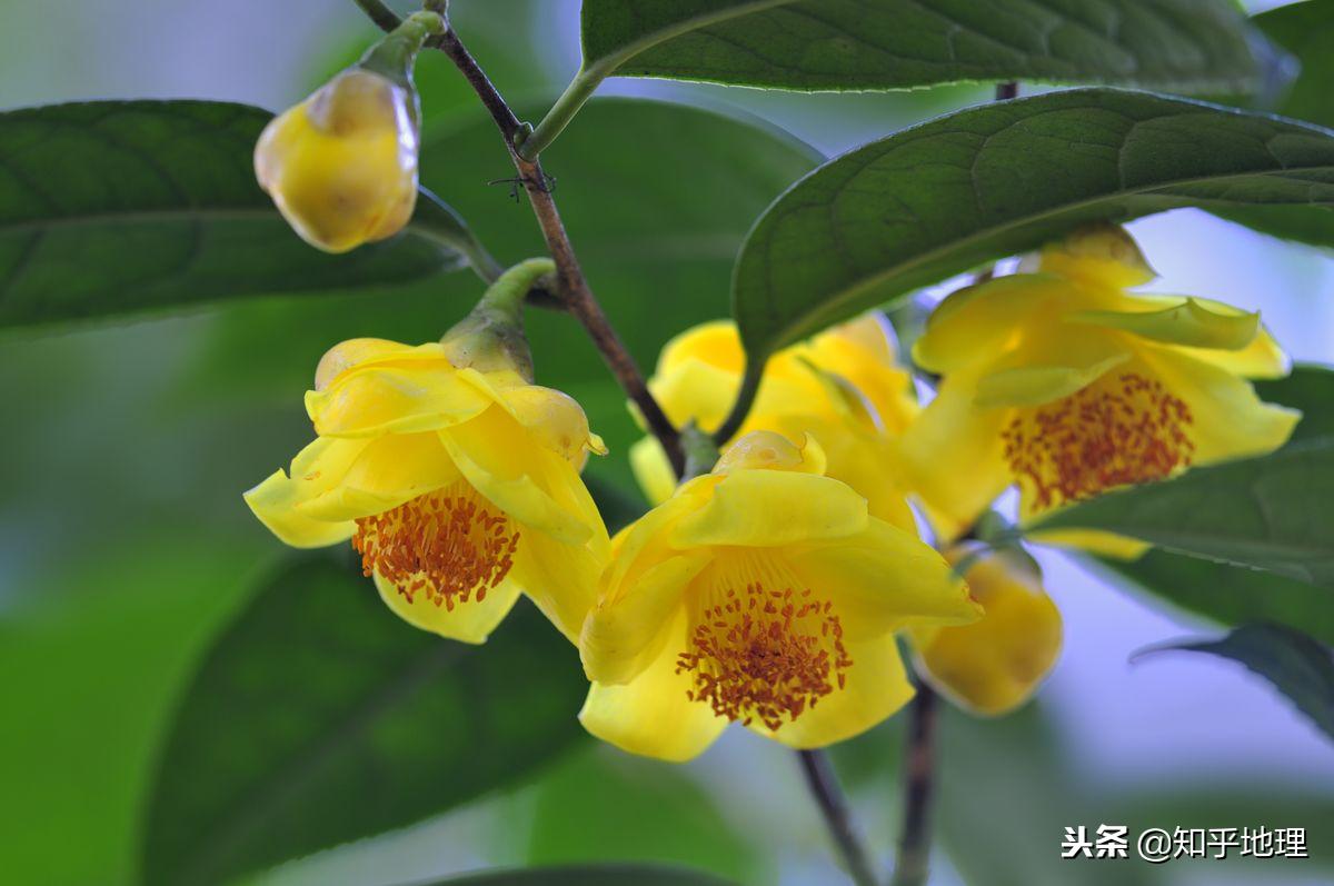 广西壮族自治区是什么气候,广西自然区位