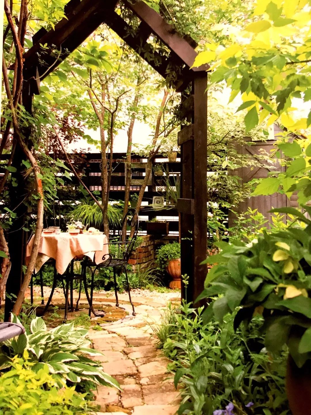 种植小树苗的正确步骤图片,新种植的小树苗一个月能长啥样