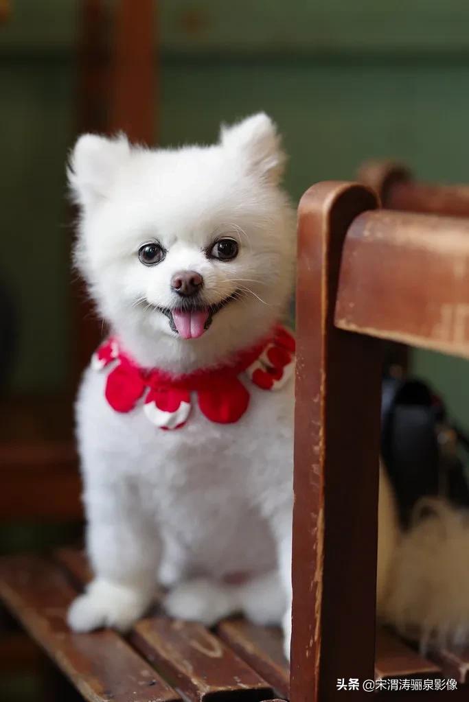 pentax十大经典相机,pentax好吗