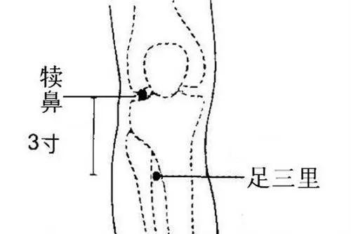 久病皆因有四虚,四大虚证中医治疗