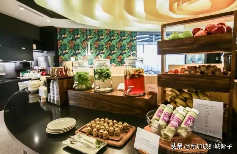 新加坡最缺的顶尖人才,新加坡月薪10000有多少人