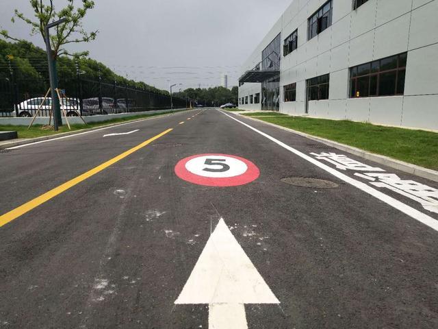 牢记这五种标线不然24分都不够扣,不认识这8种标线24分都不够扣