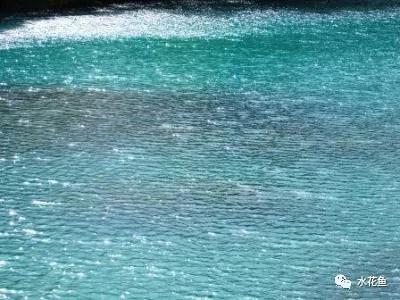 纯氧对水产养殖的影响,水产养殖缺镁吗