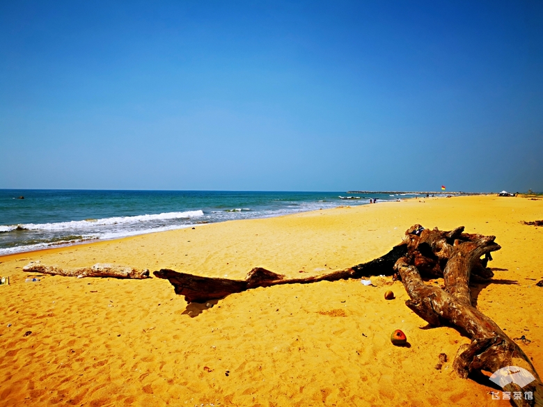必须为亚航餐饮打call！椰浆鸡肉饭太惊艳了，真正的物美价廉