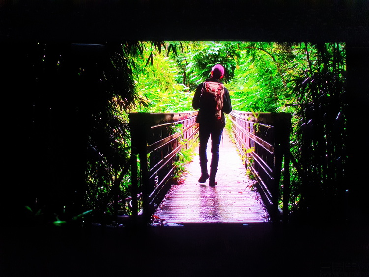 智能手机的出现有多么不可思议,智能手机已经全面普及