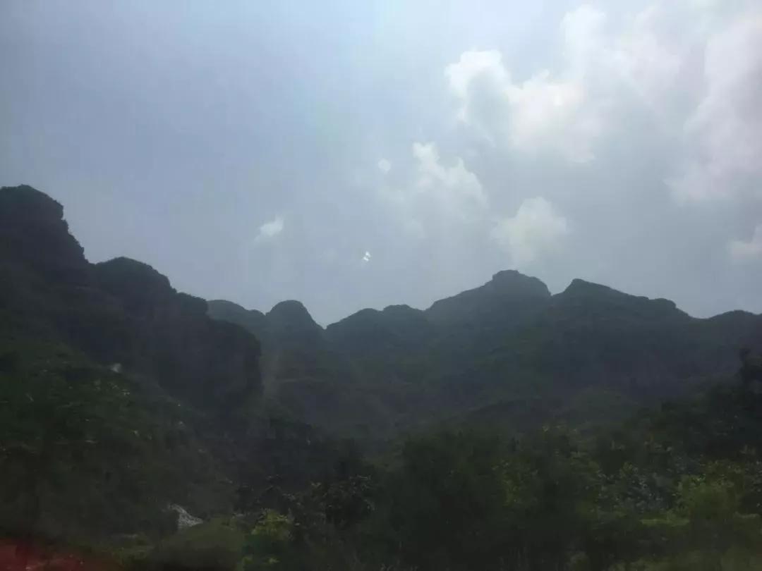 文玩核桃分类及特征,文玩核桃的种类和特点