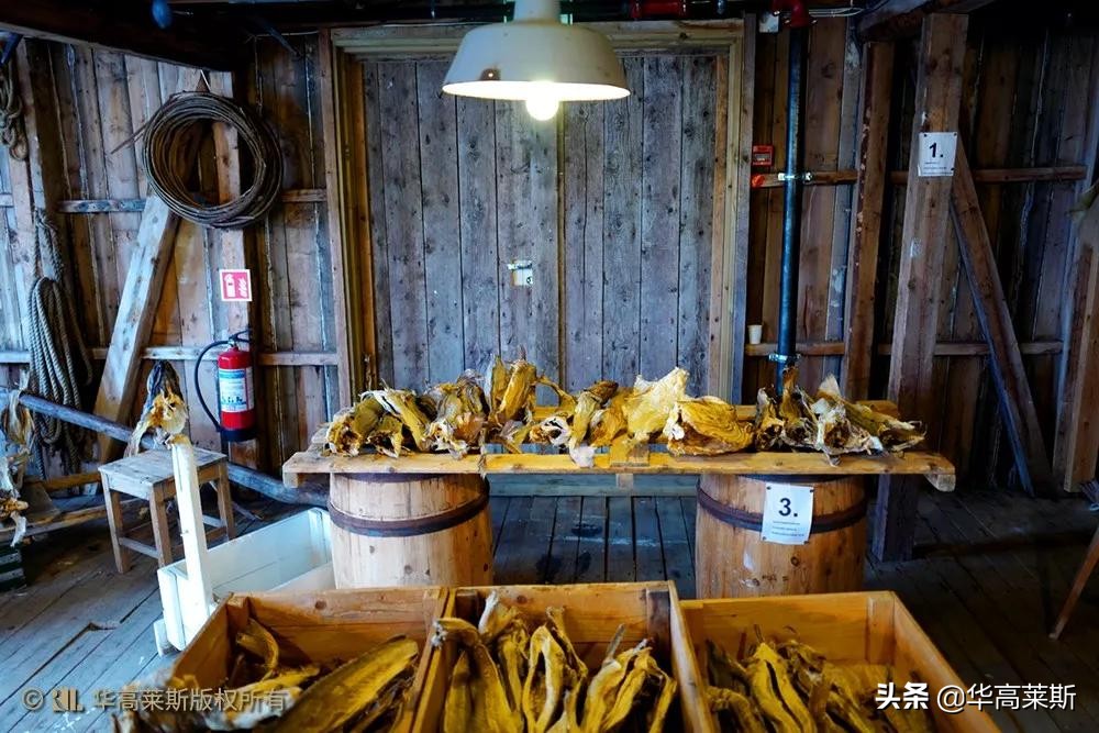 你好,挪威——跟着李忠去考察