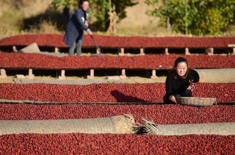红枣是泡水好还是直接吃更有营养,红枣馒头的红枣要不要洗