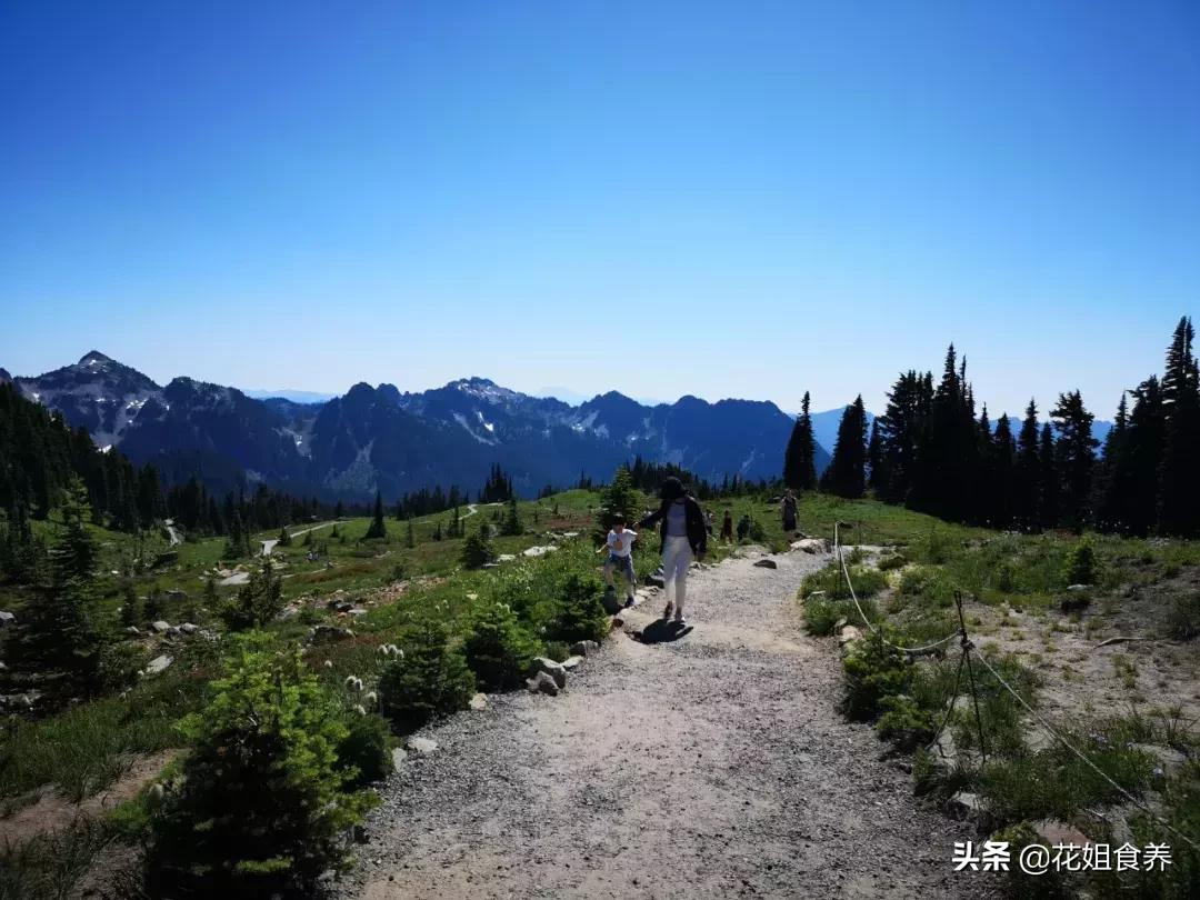 18天我和俩娃，西雅图家庭自由行，民宿、雪山、游艇……好玩刺激