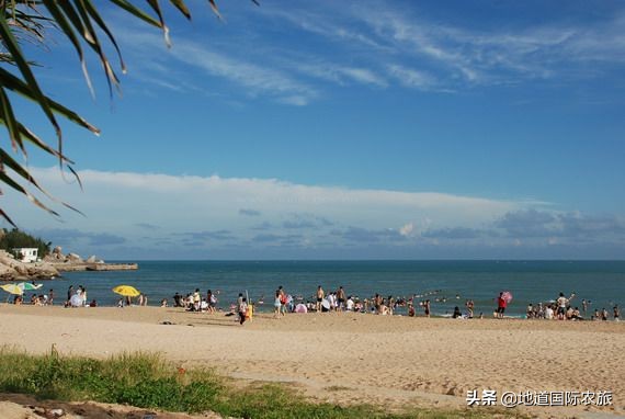 惠来隆江本地人吃哪家猪脚饭,广东省揭阳市惠来县隆江猪脚饭