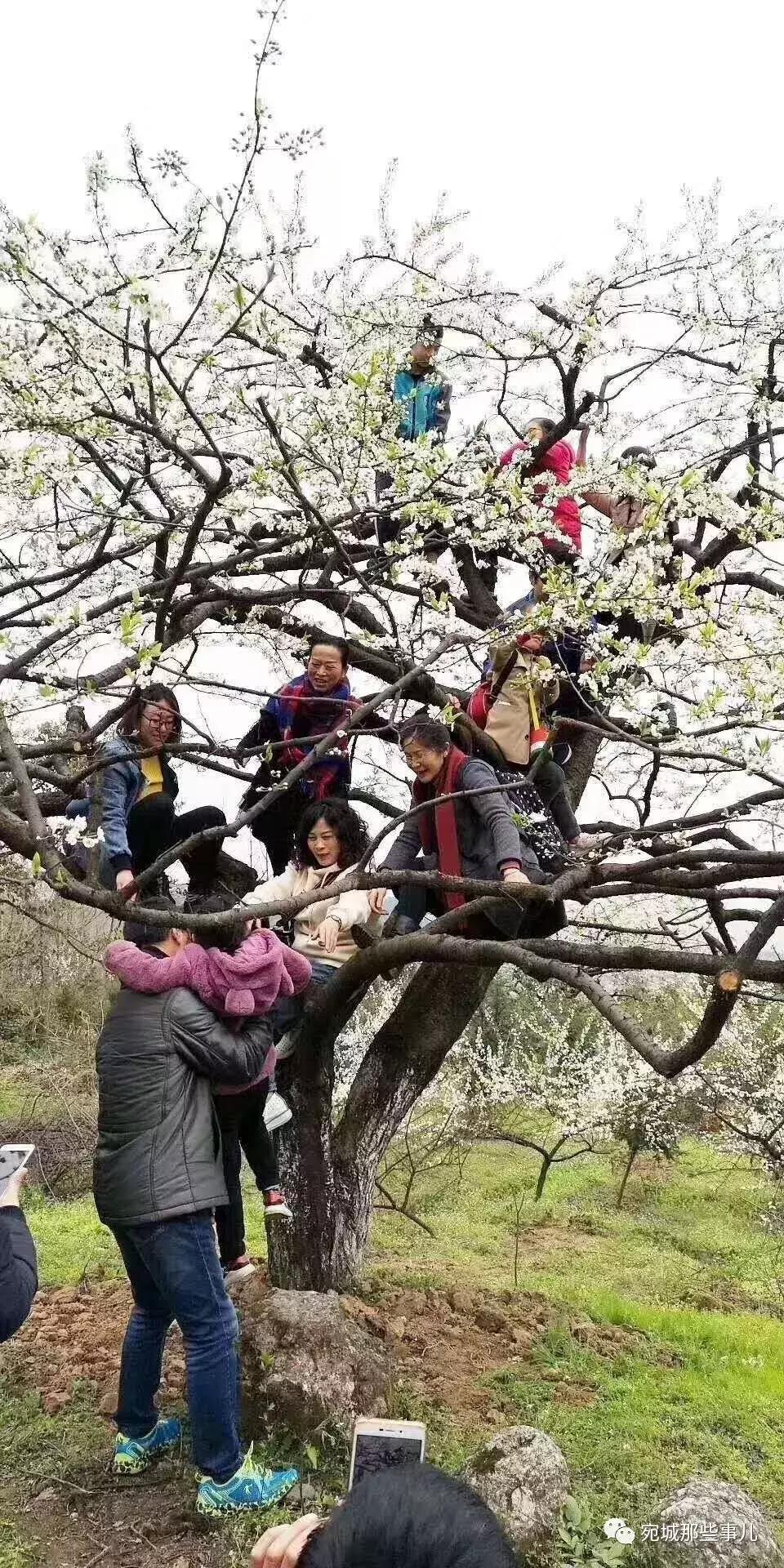 南阳老徐,河南南阳老徐最新视频