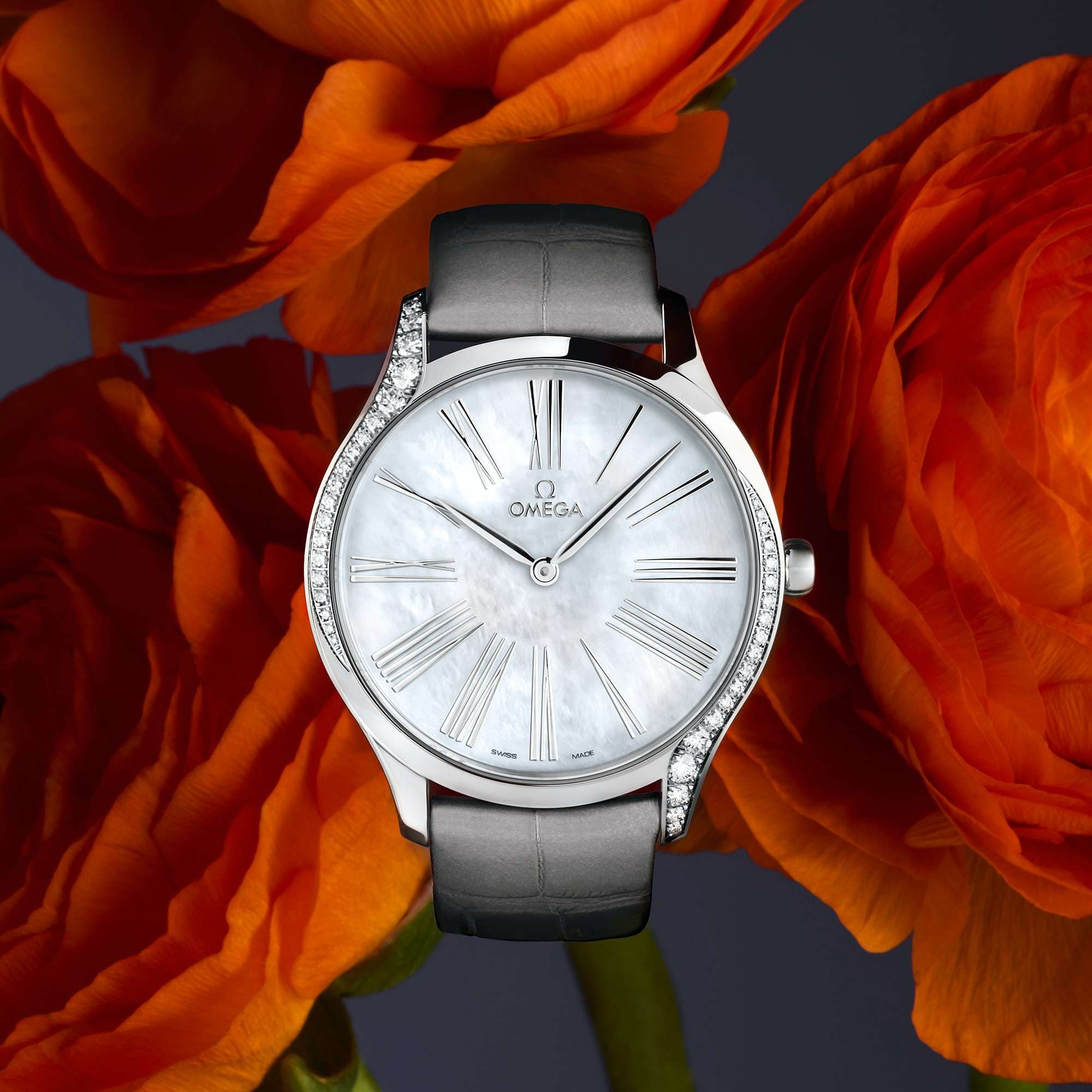 康纳嘴炮1亿出场费,嘴炮康纳再次复出